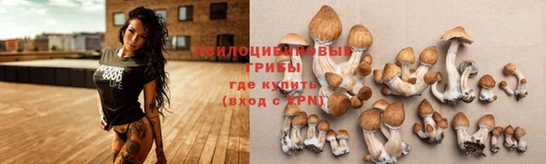 mix Надым