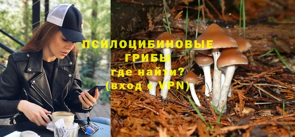 mix Надым