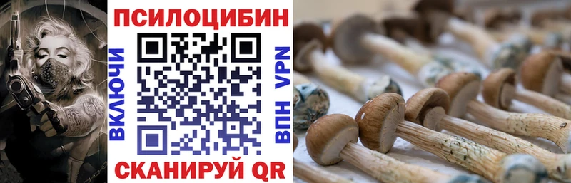 Галлюциногенные грибы Psilocybine cubensis  Харовск 